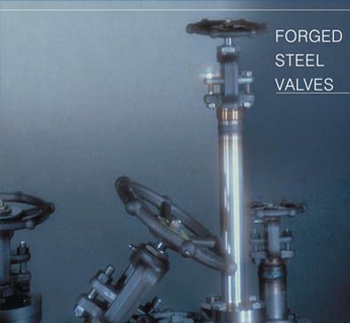 Forged Steel Valves